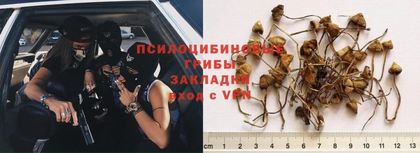 хмурый Горно-Алтайск